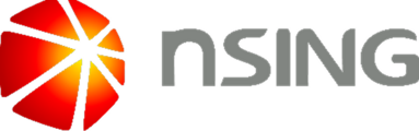 NSING NSING Logo